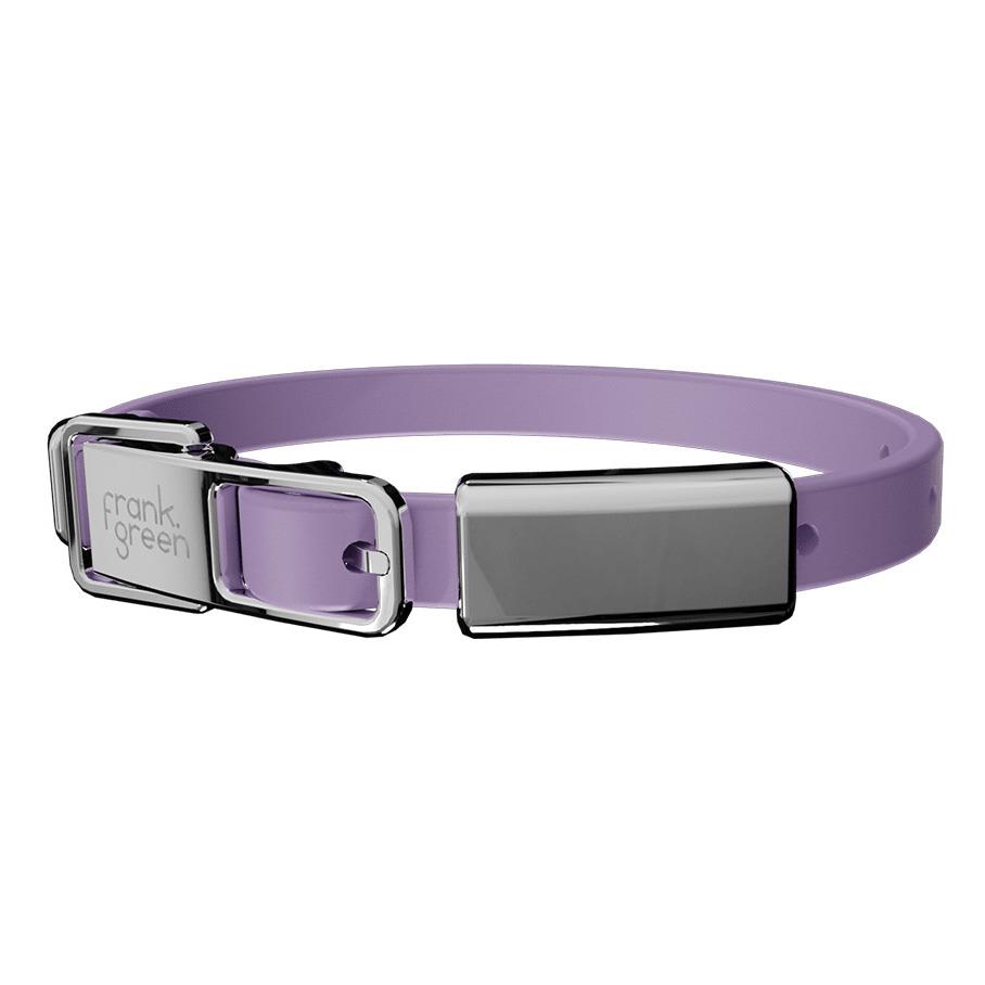 frank green Pet Collar + Name Tag - Small